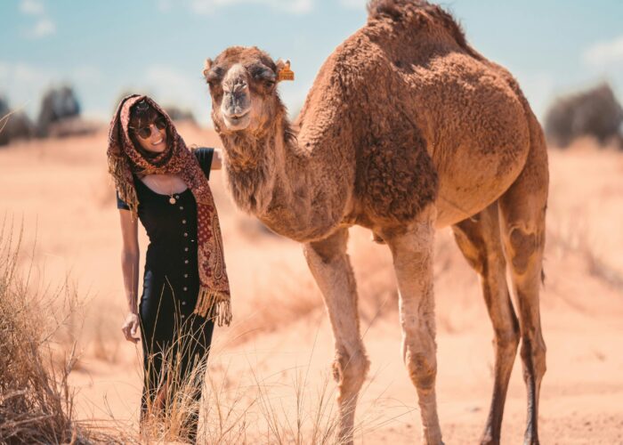 Camel ride Explore the Sahara Desert 4 Days From Marrakech